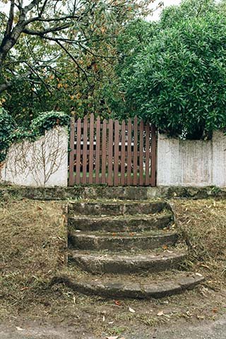 garden-fence