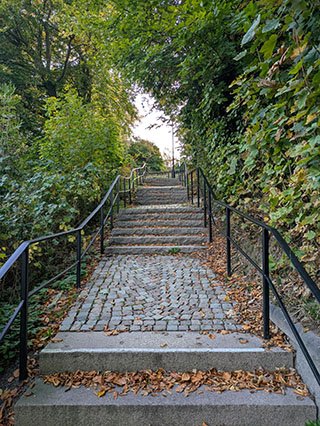 net-steps-w320